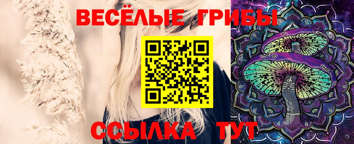 Псилоцибиновые грибы мицелий  купить закладку  Вход с VPN  Красноуфимск  Псилоцибиновые грибы прущие грибы 